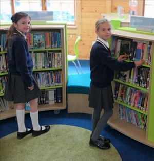 Library choosing books