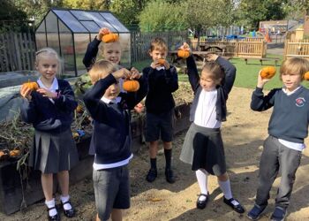 Harvesting Our Allotment Area