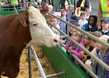 Reception Visit To Bocketts Farm